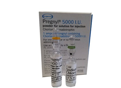 Uses Of Pregnyl | Vinmec