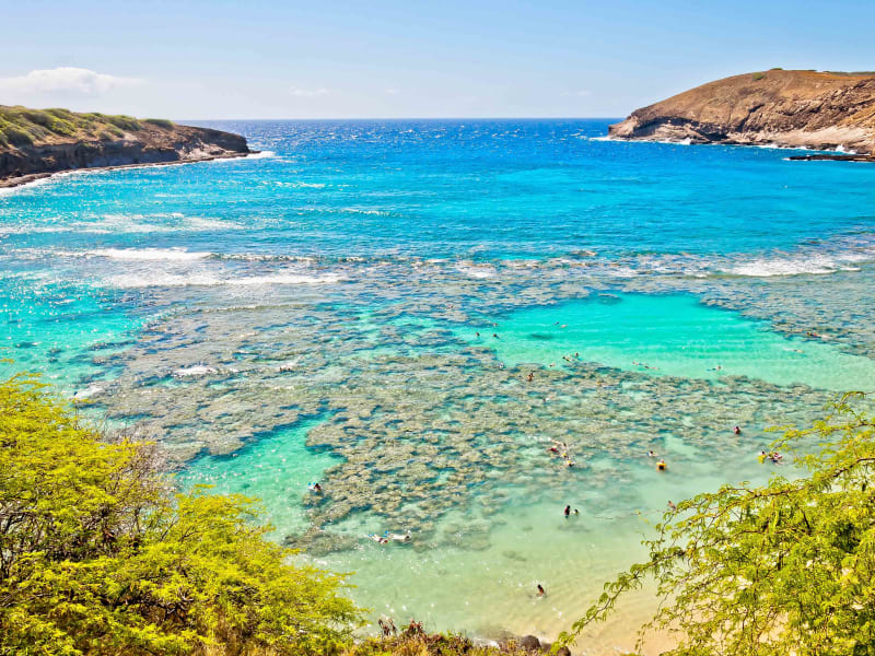 Hanauma Bay Snorkeling Tours | Book Oahu Tours, Activities & Things To Do  With Hawaiiactivities.Com