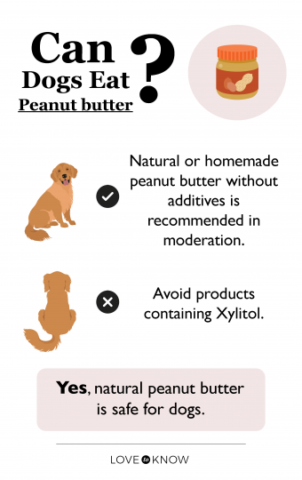 Is Peanut Butter Good For Dogs? What Types To Use (And Avoid) | Lovetoknow  Pets
