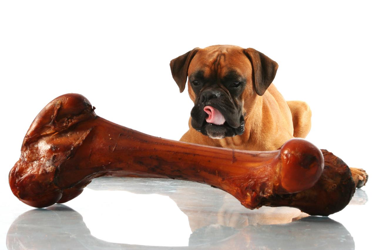 Safe Bones And Chews For Dogs | Lovetoknow Pets