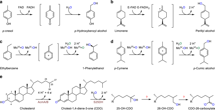 Atp-Dependent Hydroxylation Of An Unactivated Primary Carbon With Water |  Nature Communications