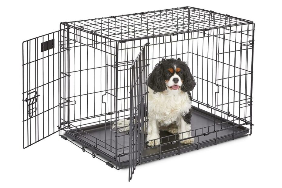 Amazon.Com : Midwest Homes For Pets Newly Enhanced Single & Double Door  Icrate Dog Crate, Includes Leak-Proof Pan, Floor Protecting Feet, Divider  Panel & New Patented Features : Pet Kennels : Pet