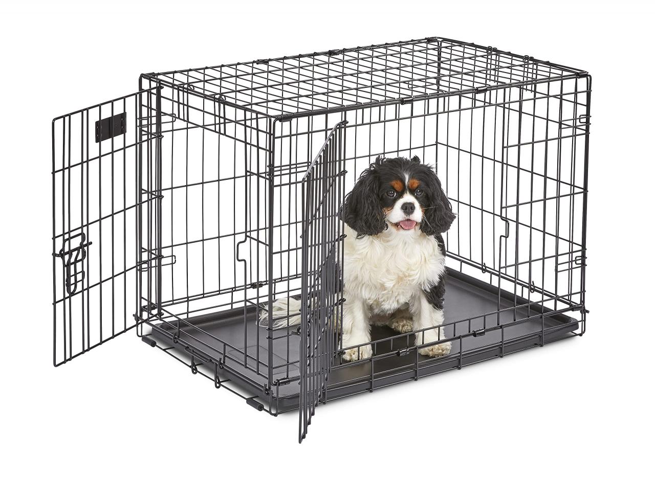 Amazon.Com : Midwest Homes For Pets Newly Enhanced Single & Double Door  Icrate Dog Crate, Includes Leak-Proof Pan, Floor Protecting Feet, Divider  Panel & New Patented Features : Pet Kennels : Pet