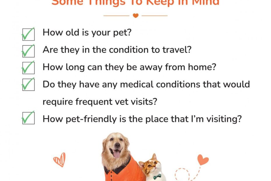 Travelling With Pets? Here Are The Essentials You Need!