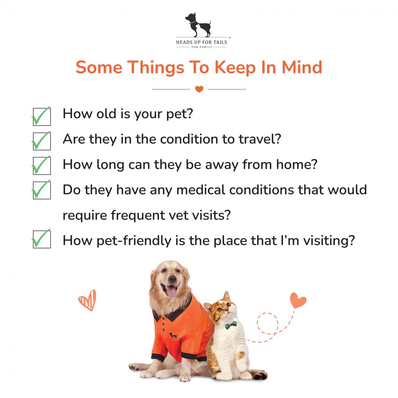 Travelling With Pets? Here Are The Essentials You Need!