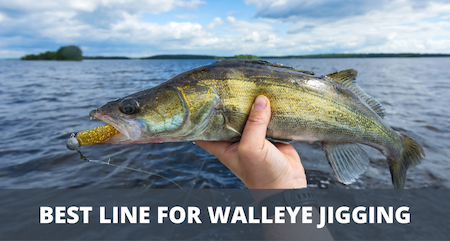 What Is The Best Line For Walleye Jigging? (3 Things To Know)