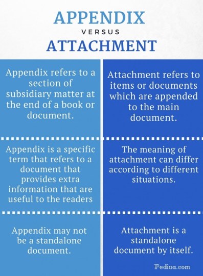 Difference Between Appendix And Attachment