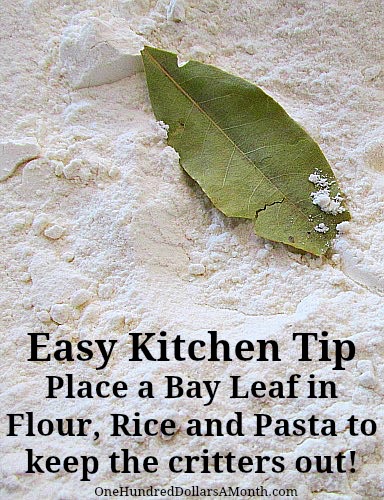 Easy Kitchen Tip - Keeping Weevils Out Of Flour, Rice And Pasta - One  Hundred Dollars A Month