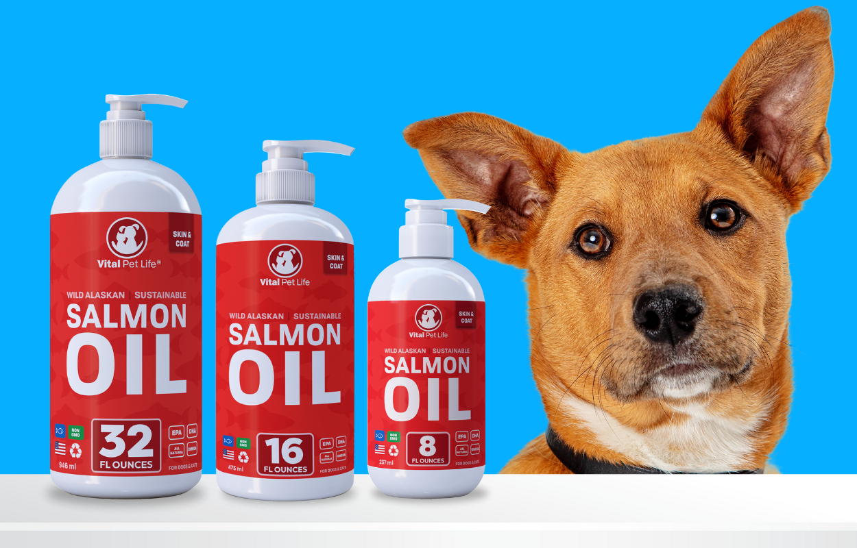 How To Properly Store Salmon Oil For Dogs – Vital Pet Life