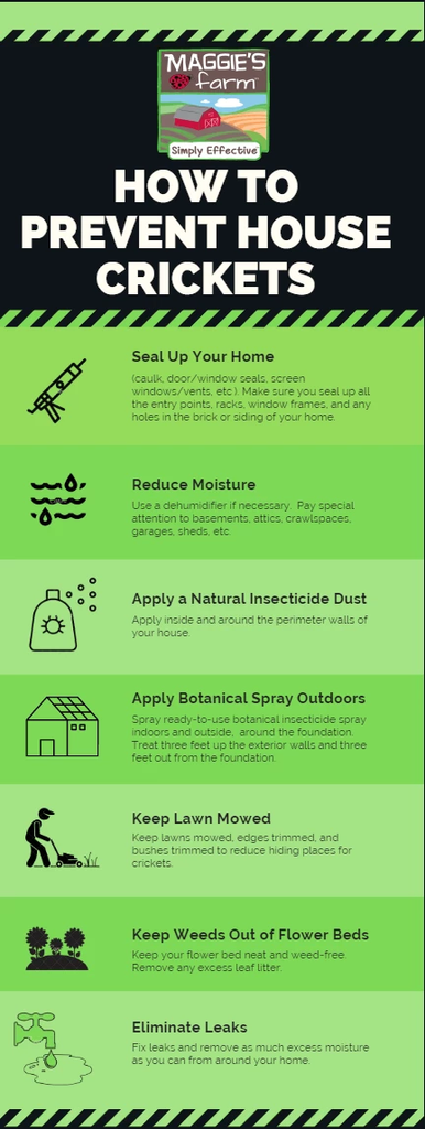 How To Get Rid Of House Crickets Naturally – Maggie'S Farm Ltd