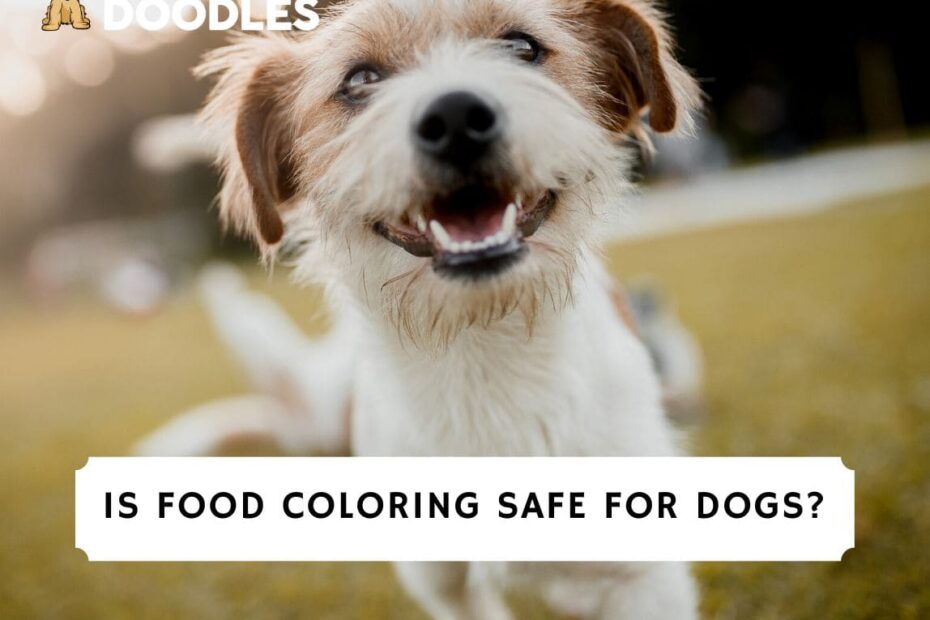 Is Food Coloring Safe For Dogs? (2023) - We Love Doodles