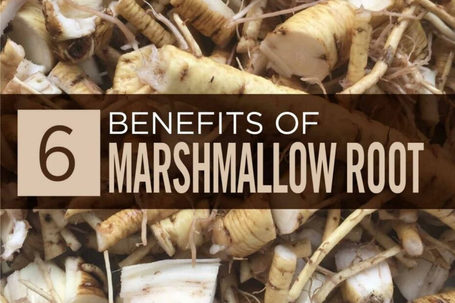 Marshmallow Root Extract: Benefits, Side Effects & Dosage