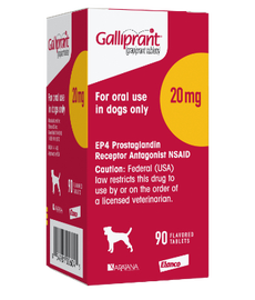 Osteoarthritis Pain And Inflammation Treatment For Dogs | Galliprant®