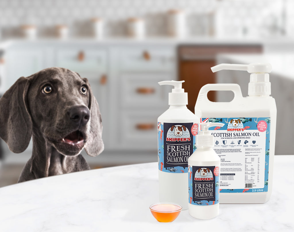 Is Salmon Oil Good For Dogs? Benefits Of Salmon Oil – Skipper'S Pet Products