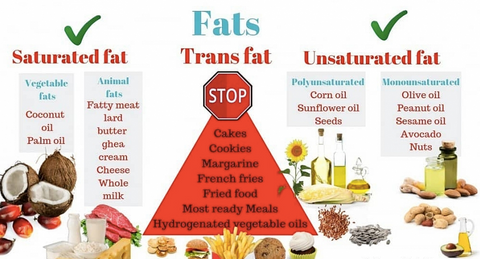 What'S The Difference Between All The Fats? – Nutrition Kitchen Sg
