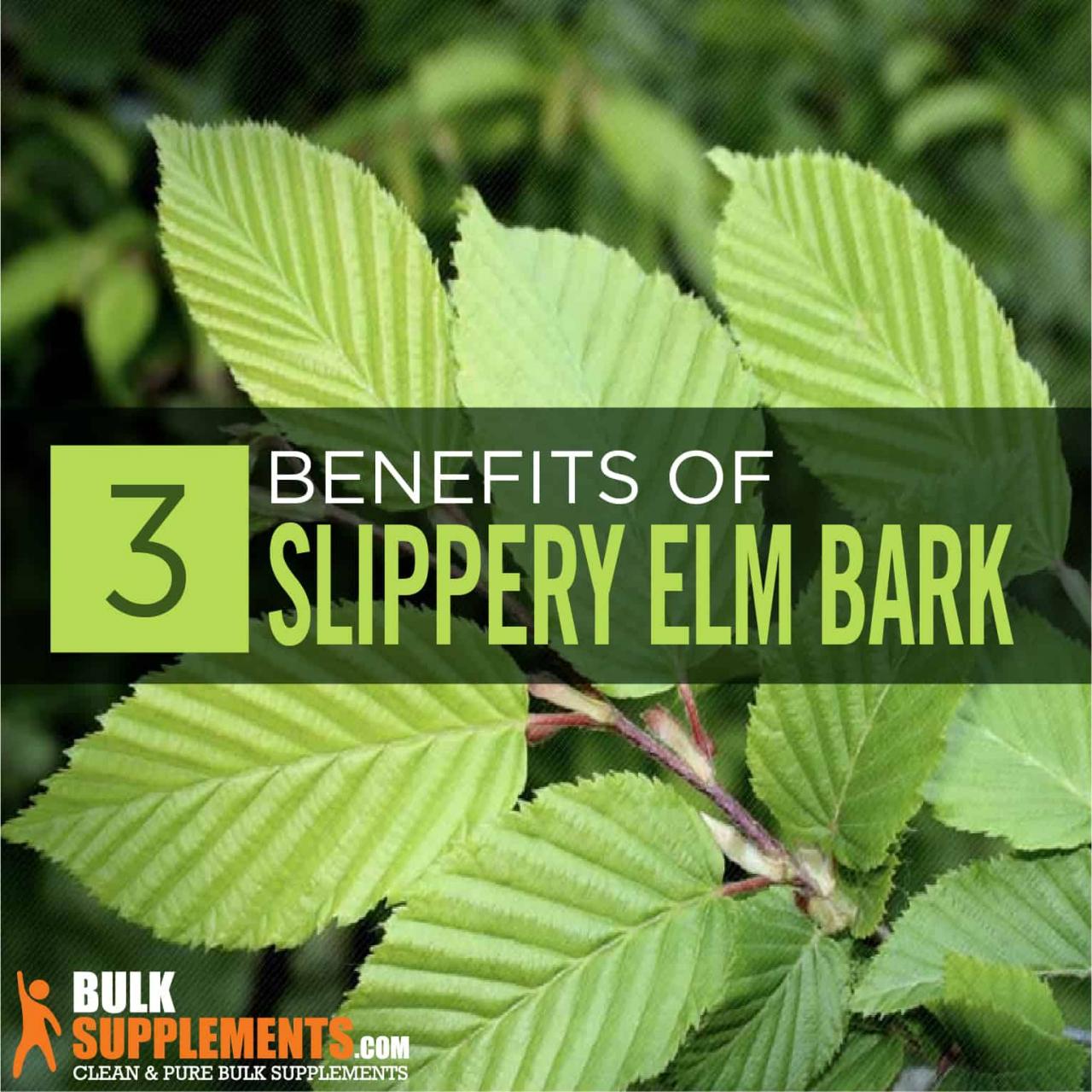 Slippery Elm Bark: Benefits, Side Effects & Dosage |