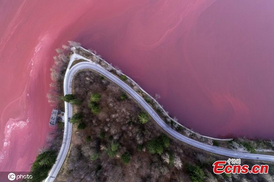 Lake Bled In Slovenia Turns Red - Ecns.Cn