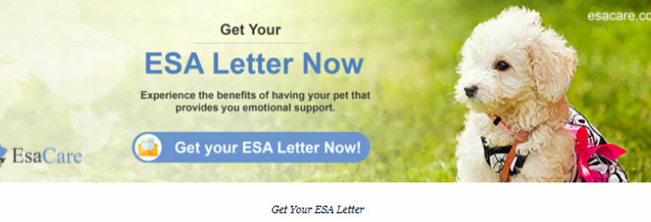 Qualifying For An Esa Letter: The Ultimate 2020 Guide - Esa Care
