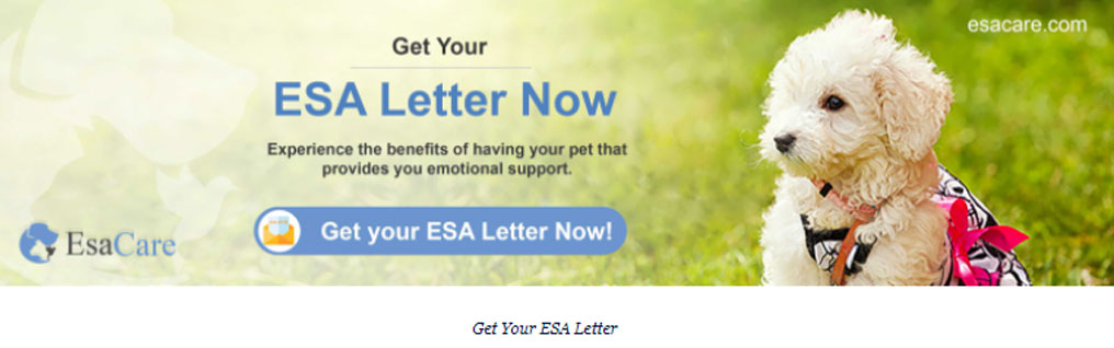 Qualifying For An Esa Letter: The Ultimate 2020 Guide - Esa Care