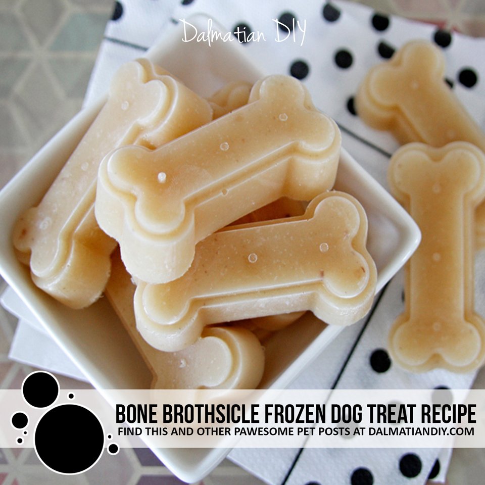 Bone Brothsicle Frozen Dog Treats - Dalmatian Diy