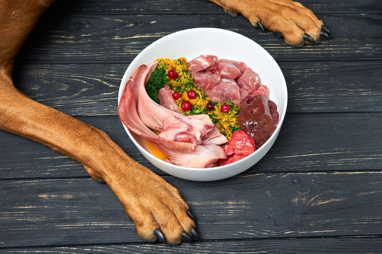 Can You Feed Dogs Raw Meat Safely? A Comprehensive Guide