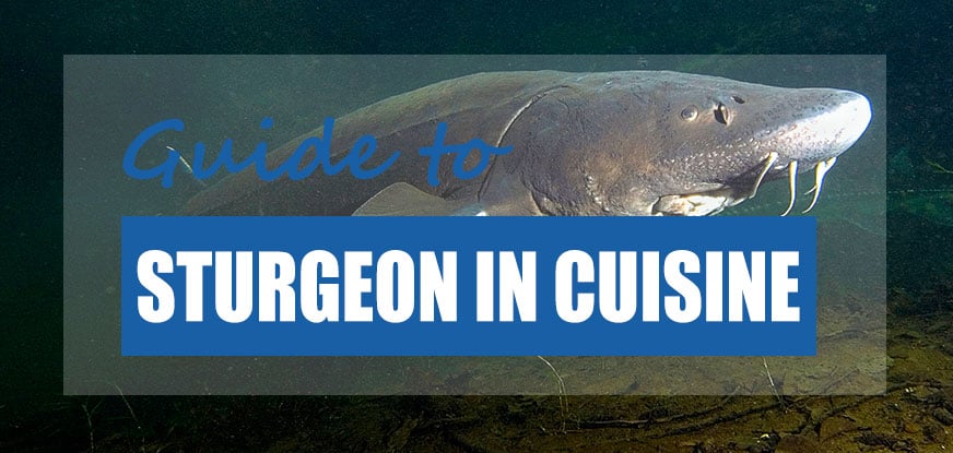 Can You Eat Sturgeon? (And Why You May Not Want To) - Pond Informer