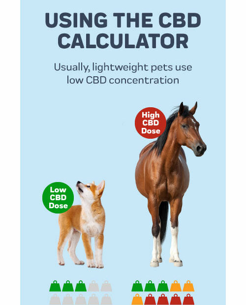 Cbd Dosage Calculator For Dogs & Cats – Innovet Pet