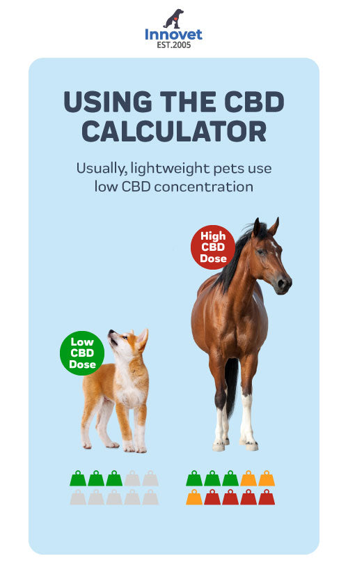 Cbd Dosage Calculator For Dogs & Cats – Innovet Pet