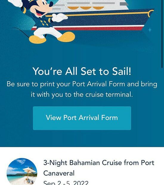 Disney Cruise Line Check-In Process Online: Everything To Know