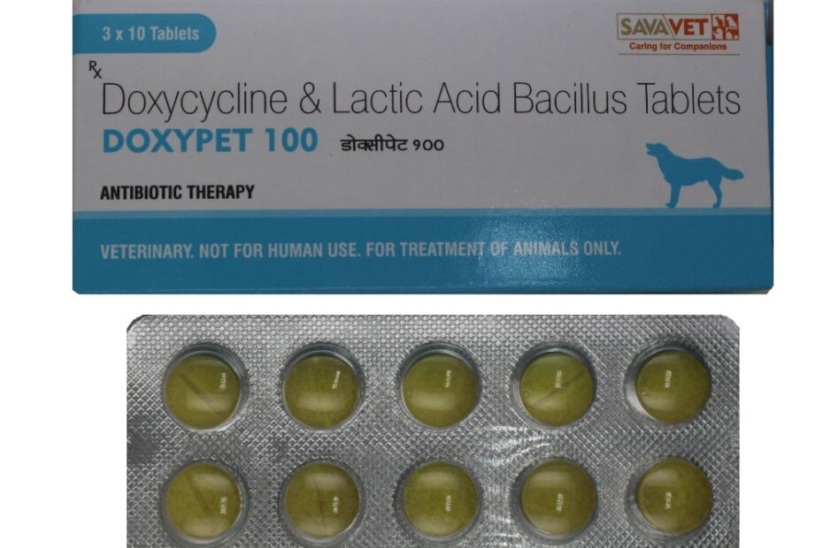 Tablet Doxycycline Doxypet 100, Treatment: To Treat Tick Borne Diseases,  Packaging Type: Blisters