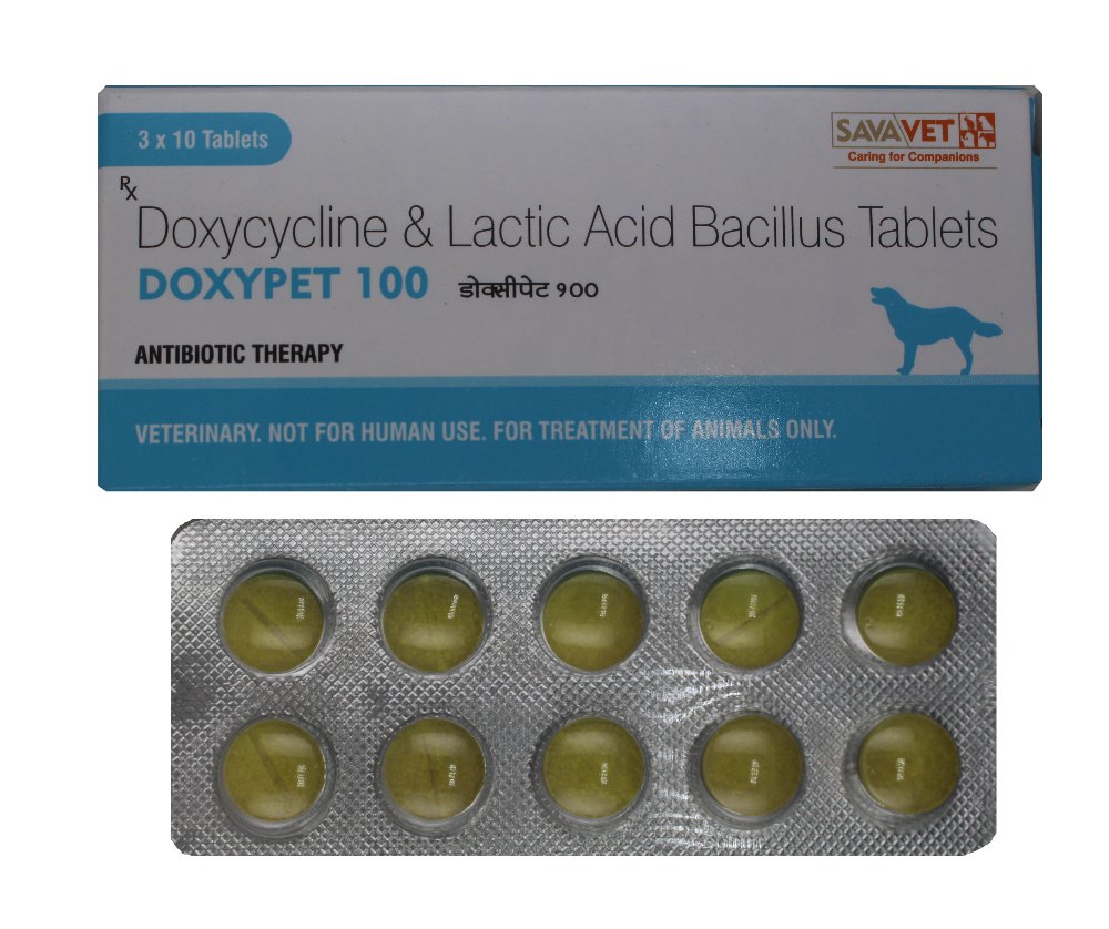 Tablet Doxycycline Doxypet 100, Treatment: To Treat Tick Borne Diseases,  Packaging Type: Blisters