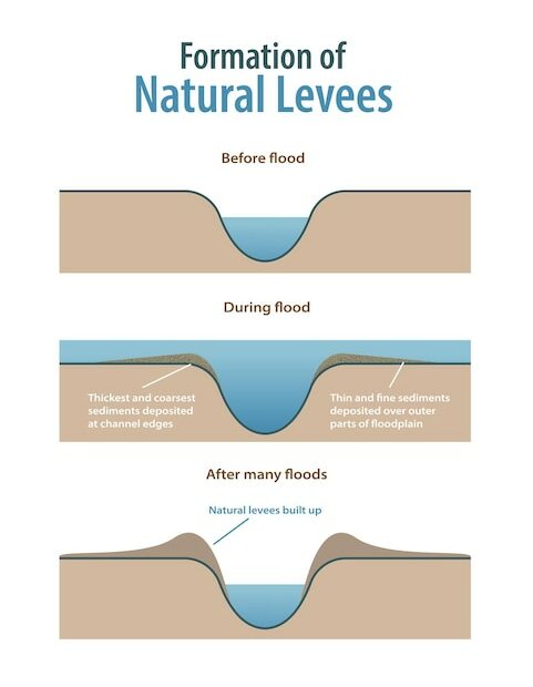 Premium Vector | Formation Of Natural Levees Infographic