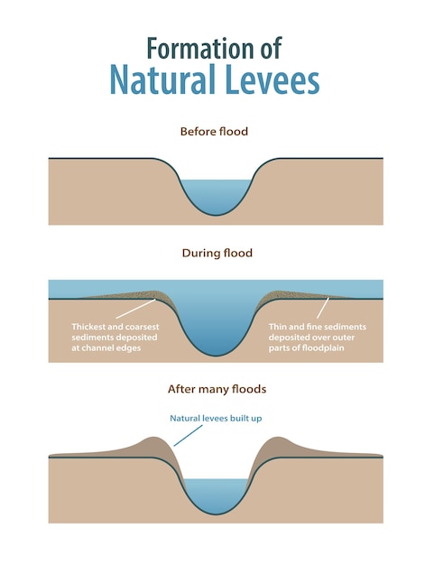 Premium Vector | Formation Of Natural Levees Infographic