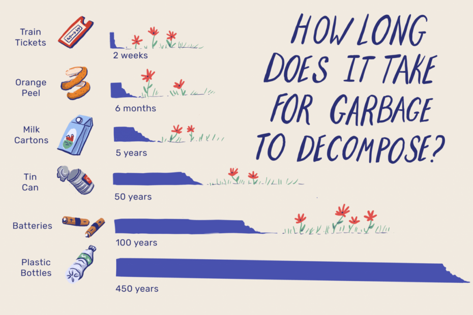 How Long Does It Take Garbage To Decompose?