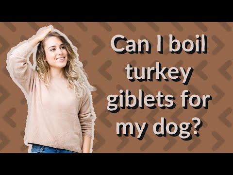 Can I boil turkey giblets for my dog?