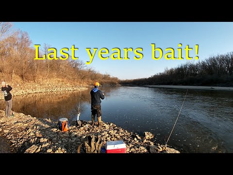 Early Spring catfish in Iowa.