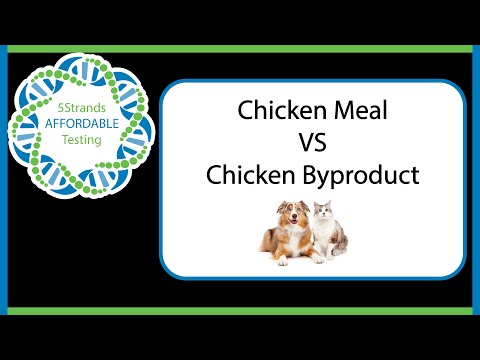 Chicken Meal Vs Chicken Byproduct | What Is The Difference? | 5Strands Faq  - Youtube