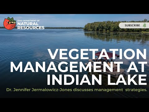 Vegetation Management at Indian Lake