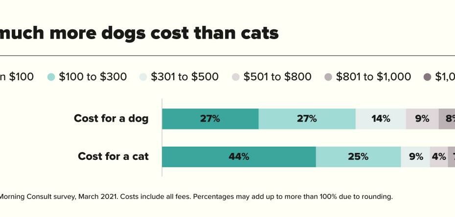Dog Cost And Cat Cost | Money