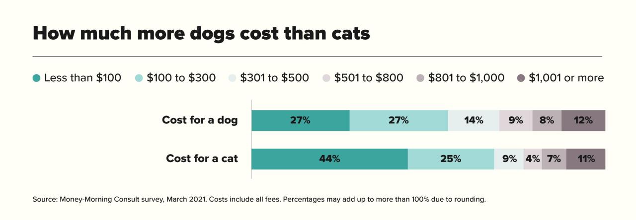 Dog Cost And Cat Cost | Money