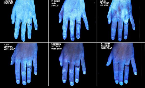 How Does Hand Washing Kill Viruses And Germs? - Quora