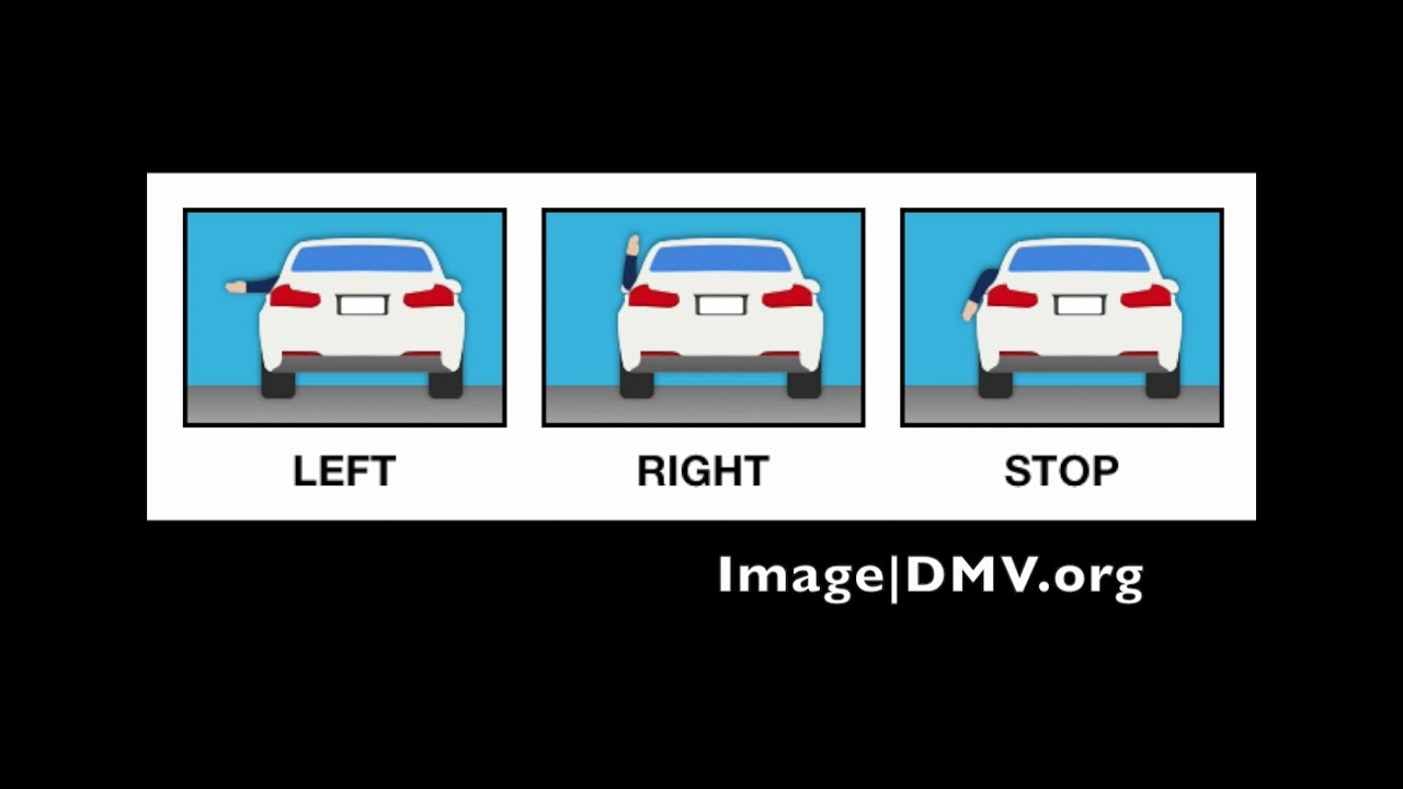 Do You Know How To Use Hand Signals For Turning Or Stopping In A Car? -  Youtube