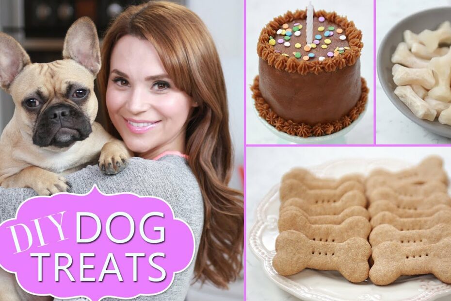 Diy Dog Treats - Youtube