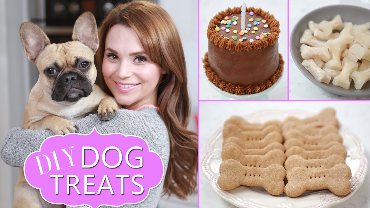 Diy Dog Treats - Youtube