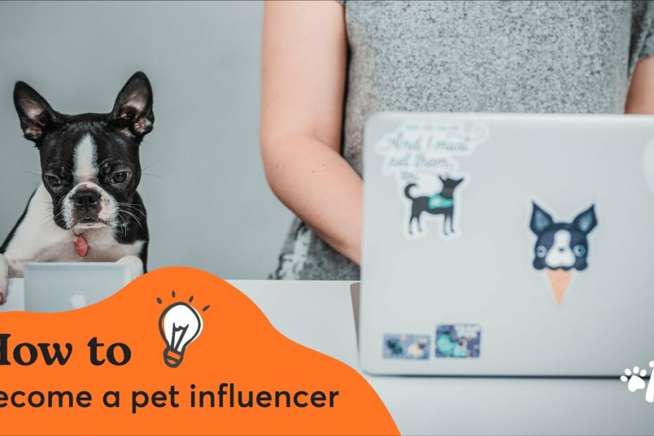 How To Make Your Dog Insta-Famous & Use Instagram To Do Good For All Dogs | The  Dog People By Rover.Com