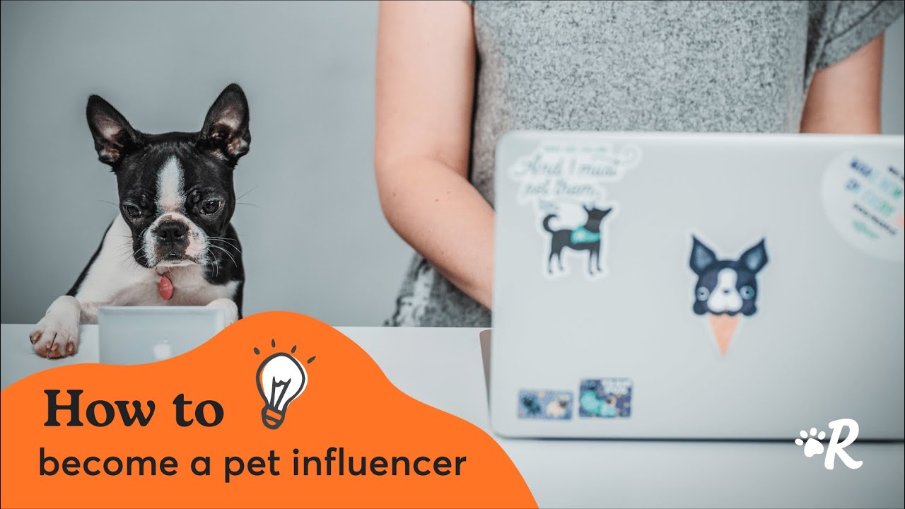 How To Make Your Dog Insta-Famous & Use Instagram To Do Good For All Dogs | The  Dog People By Rover.Com