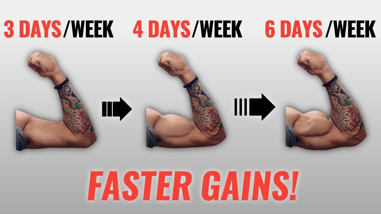 How Many Days A Week Should You Workout? (Faster Gains!) - Youtube