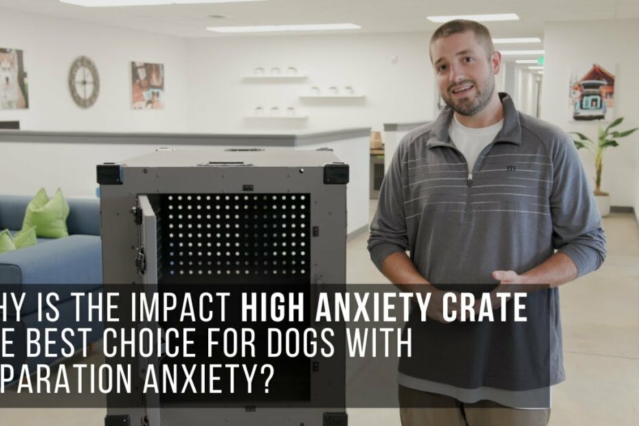 Why Is The High Anxiety Impact Dog Crate The Best Choice For Dogs With  Separation Anxiety? - Youtube