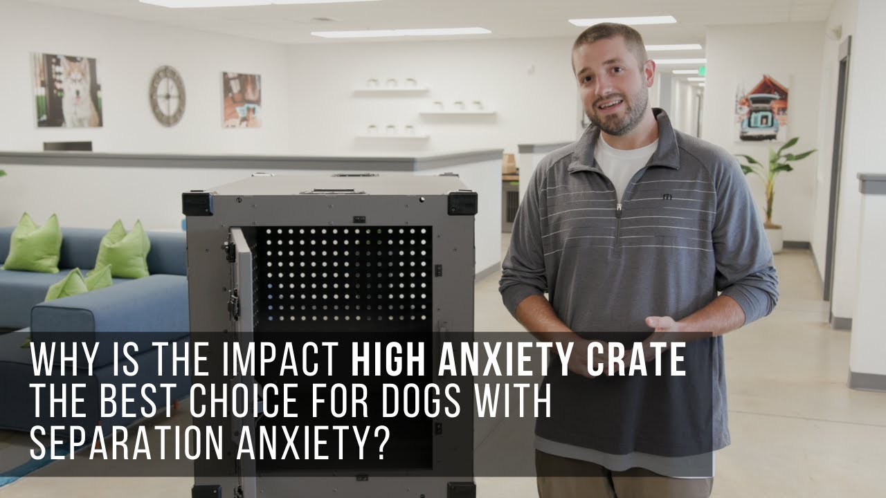 Why Is The High Anxiety Impact Dog Crate The Best Choice For Dogs With  Separation Anxiety? - Youtube