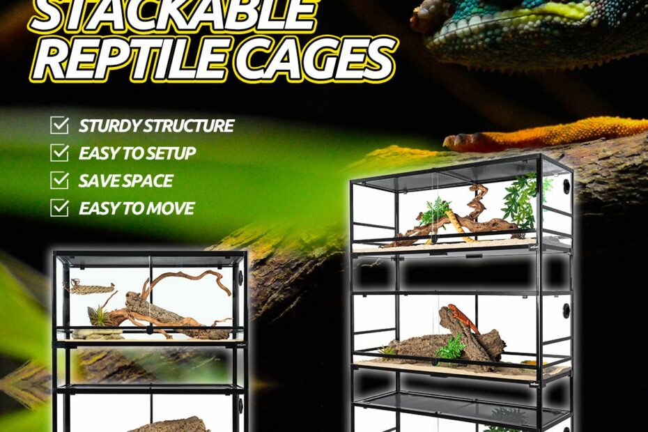 Reptizoo Provides The Perfect Reptile Habitats – Repti Zoo